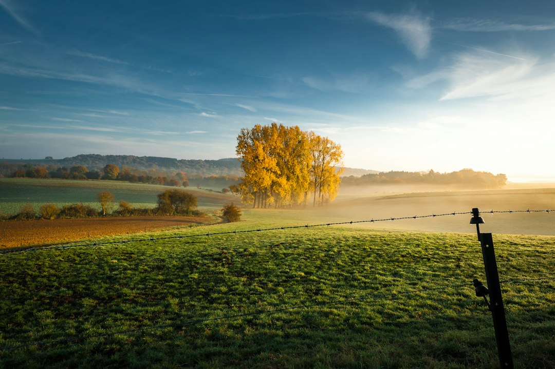 Illustration paysagère de Brabant wallon pour la page de Bierges